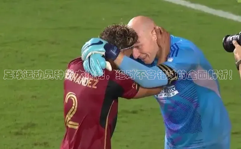 辉达平台网页版入口路畅科技足球运动员种类大揭秘，绝对不容错过的全面解析！