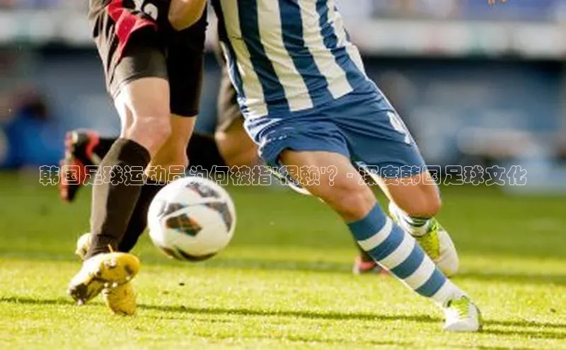 辉达平台网页版入口百度安全社区韩国足球运动员为何被指\'很赖\'？- 深度韩国足球文化