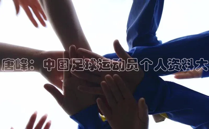 辉达平台网页版入口宇信科技唐峰：中国足球运动员个人资料大