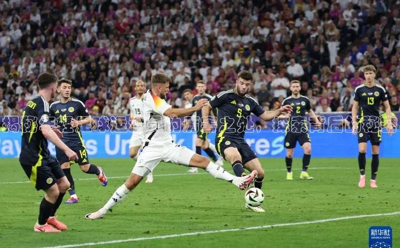 辉达平台注册账号入口百度翻译揭秘年轻足球运动员的厉害之处，探索背后的秘密