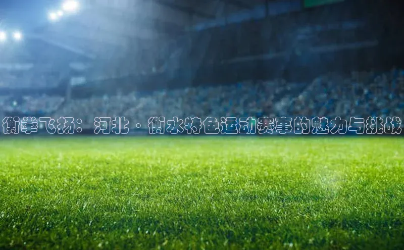 辉达娱乐app下载安装诸葛科技衡拳飞扬：河北·衡水特色运动赛事的魅力与挑战