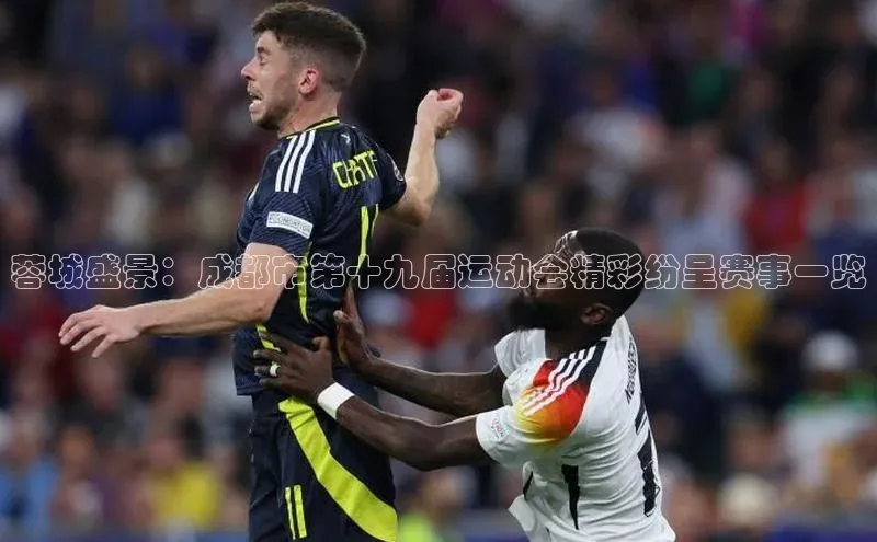 辉达官网百度教育蓉城盛景：成都市第十九届运动会精彩纷呈赛事一览