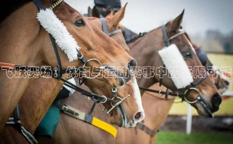 飞跃赛场：体育与运动赛事中的无限可能