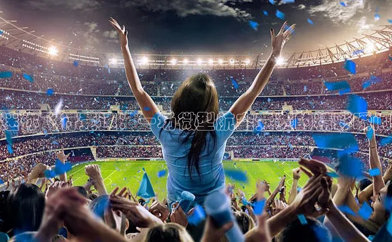 迷你飞行竞速：一场微型航空竞赛的精彩瞬间