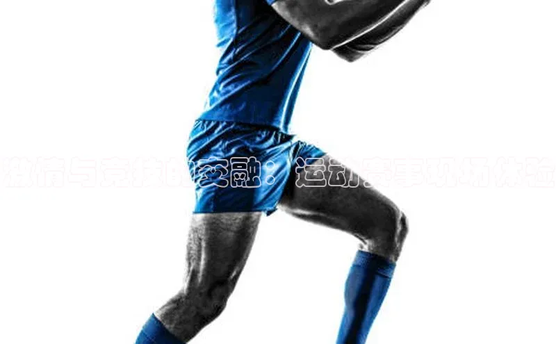 激情与竞技的交融：运动赛事现场体验