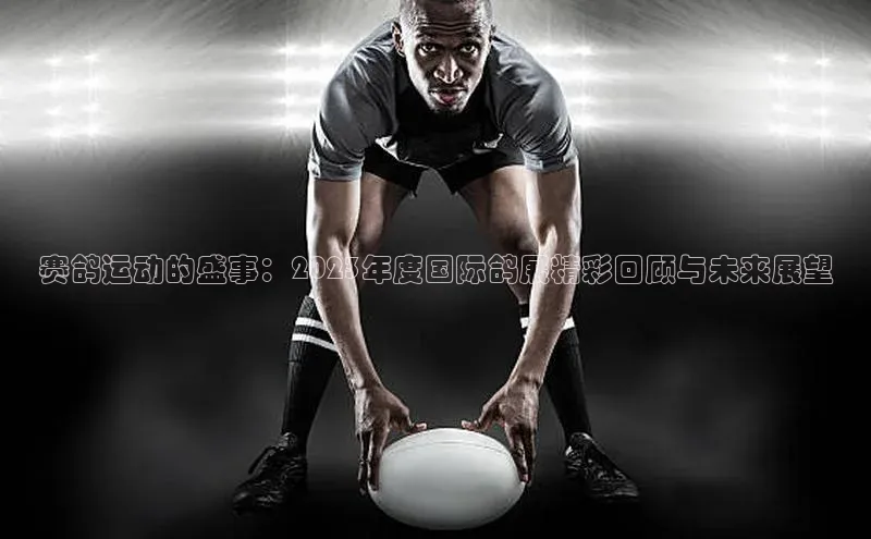 赛鸽运动的盛事：2023年度国际鸽展精彩回顾与未来展望