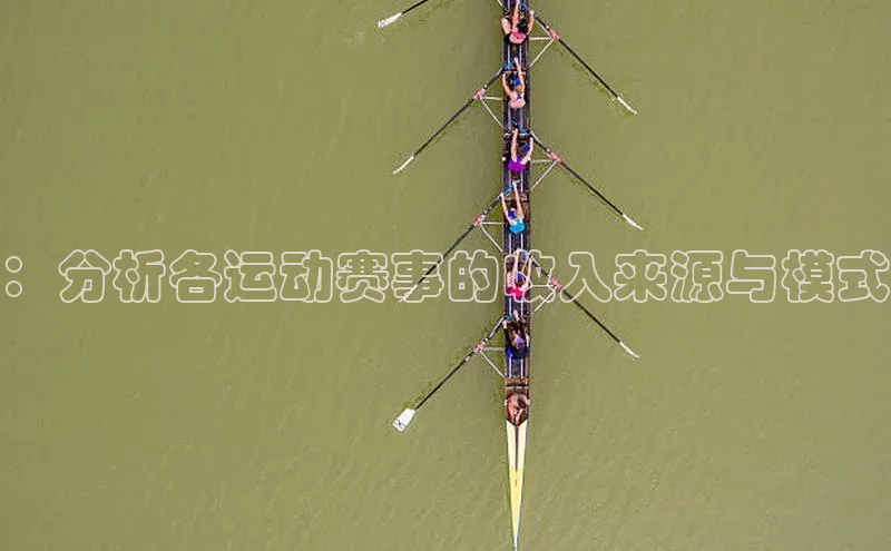 ：分析各运动赛事的收入来源与模式