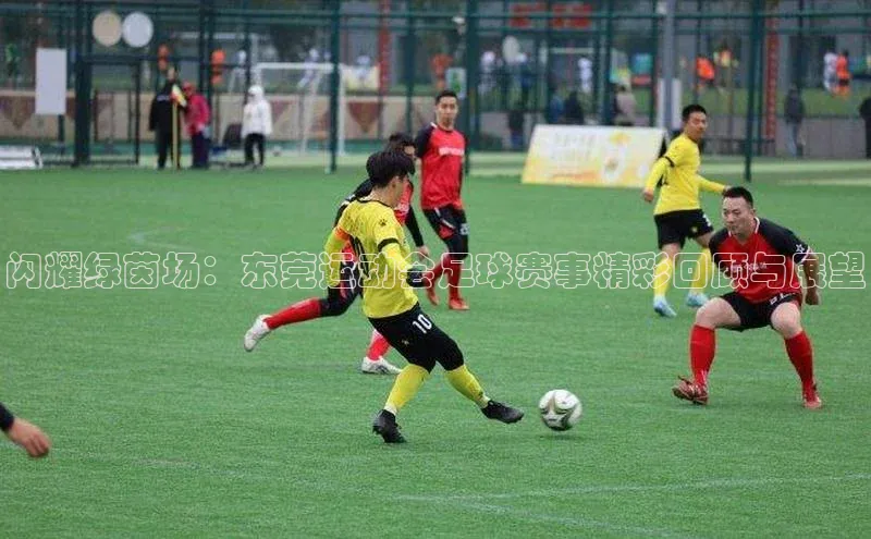 闪耀绿茵场：东莞运动会足球赛事精彩回顾与展望