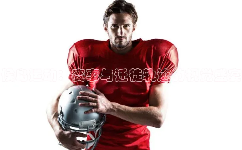 候鸟运动：赛事与迁徙轨迹的视觉盛宴