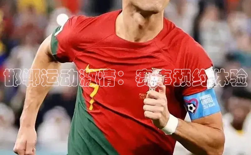 邯郸运动激情：赛事预约体验