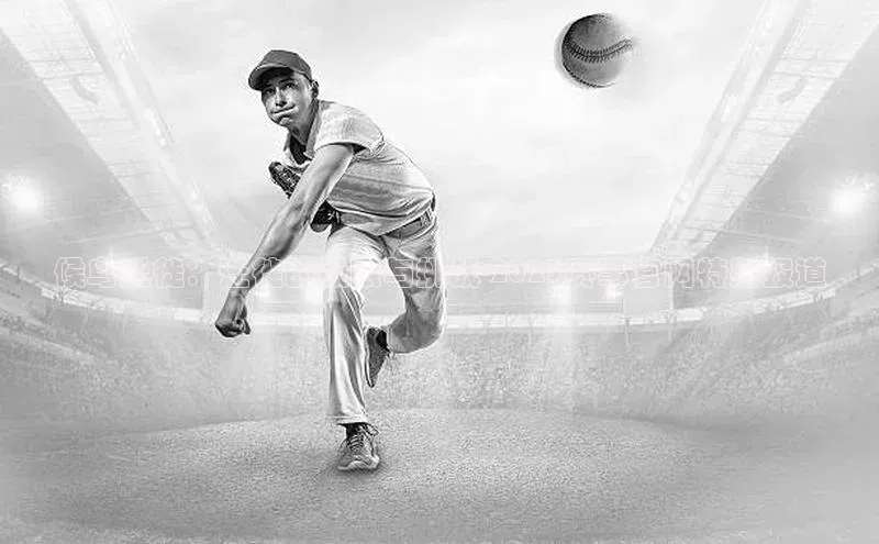 候鸟迁徙：迁徙的极限与挑战-2023赛事官网特别报道