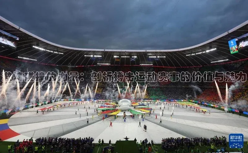 激情碰撞的力量：剖析搏击运动赛事的价值与魅力