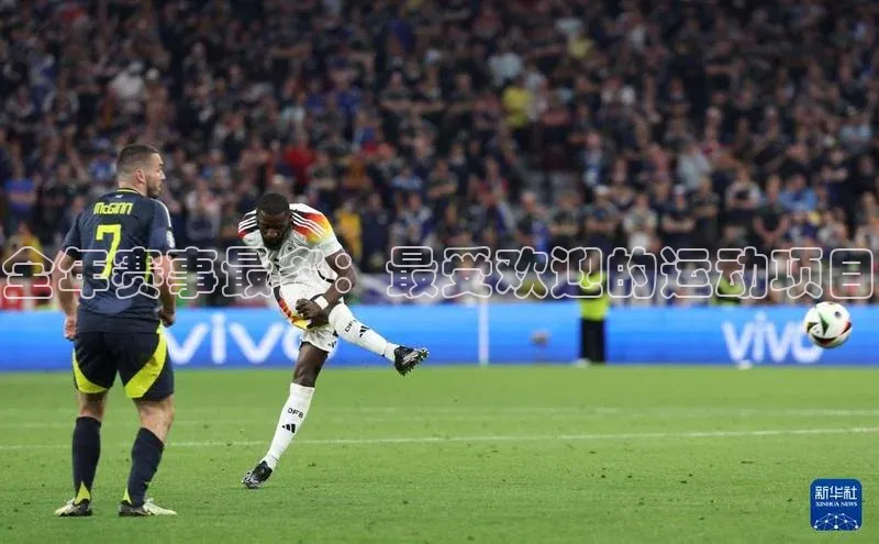 全年赛事最多：最受欢迎的运动项目