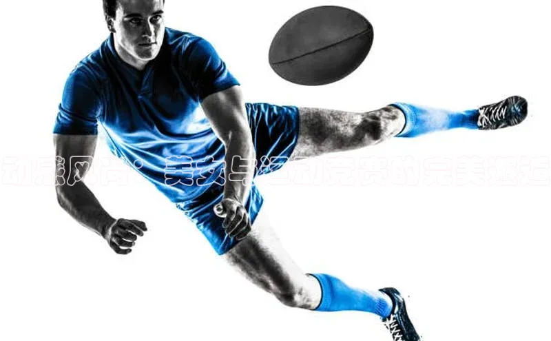 辉达app官方下载