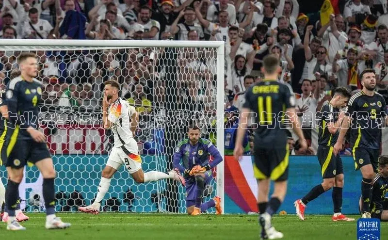 辉达平台登录入口