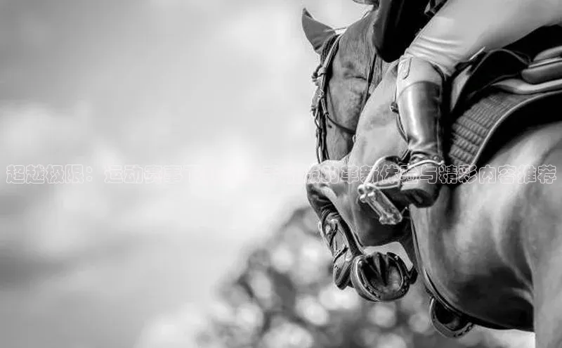 辉达娱乐下载官网