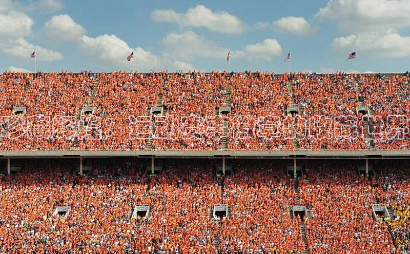 辉达注册官网入口网址