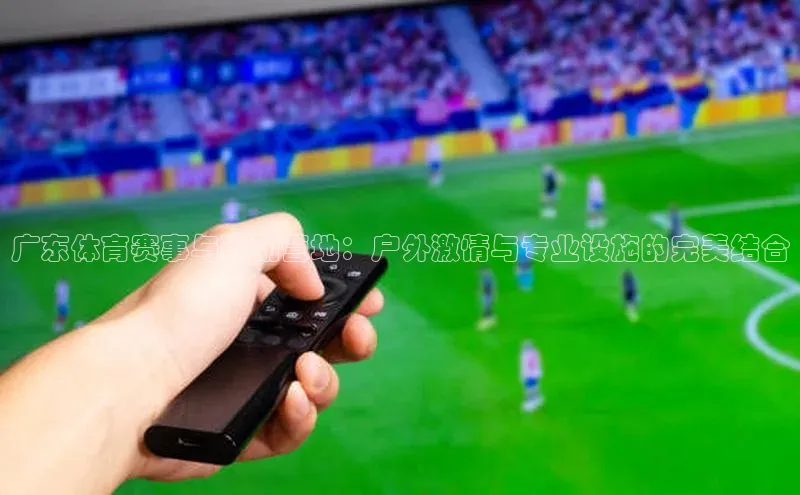 广东体育赛事与运动营地：户外激情与专业设施的完美结合