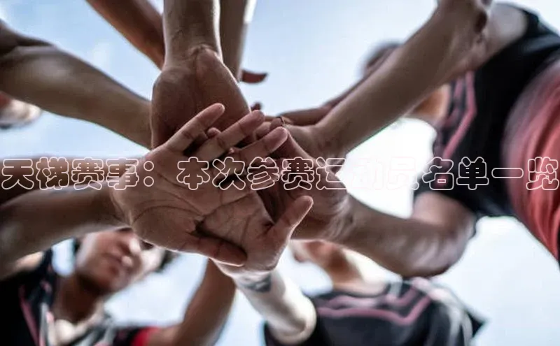 辉达App登录入口