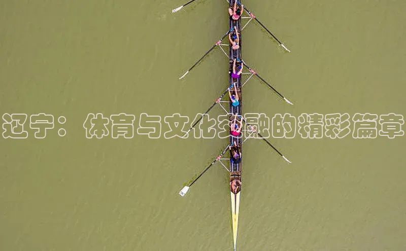 辉达娱乐app下载安装